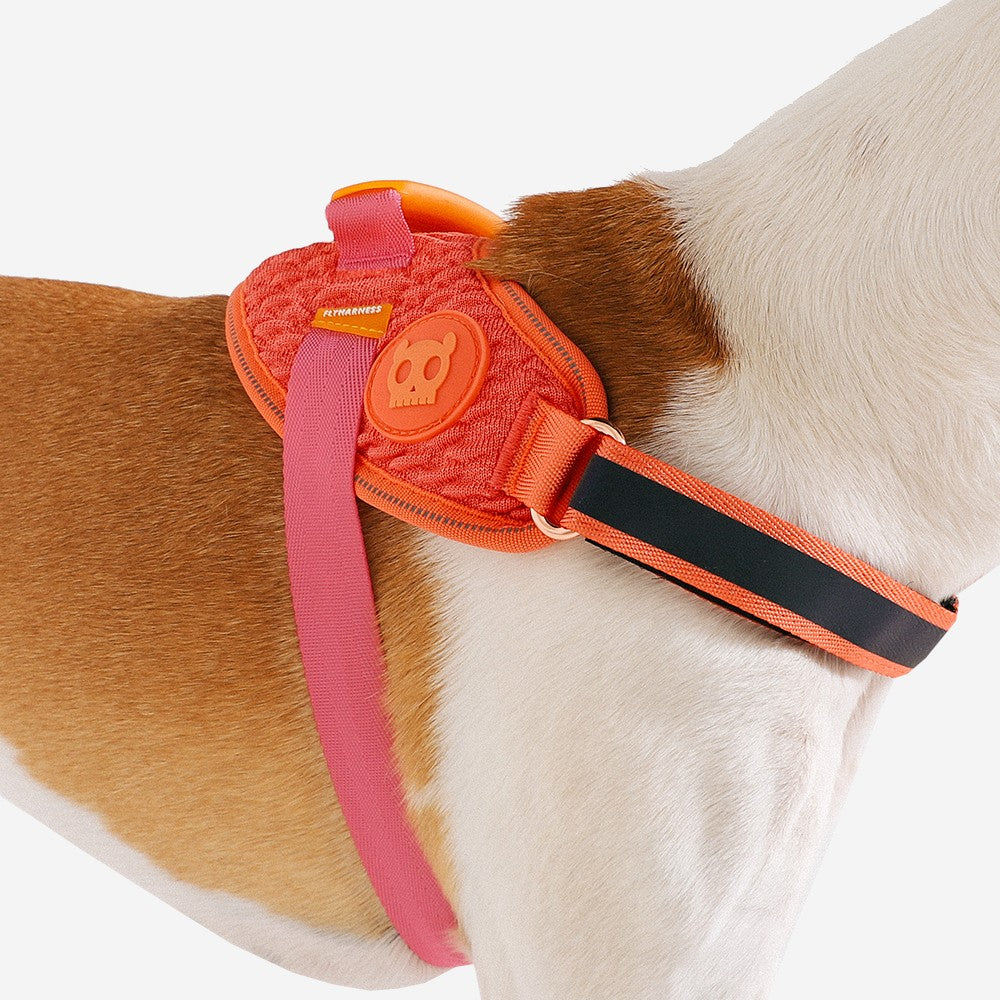 Pettorina con Maniglia - Flyharness Gazelle