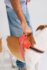 Pettorina con Maniglia - Flyharness Gazelle