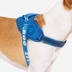 Pettorina con Maniglia - Flyharness Slam Dunk