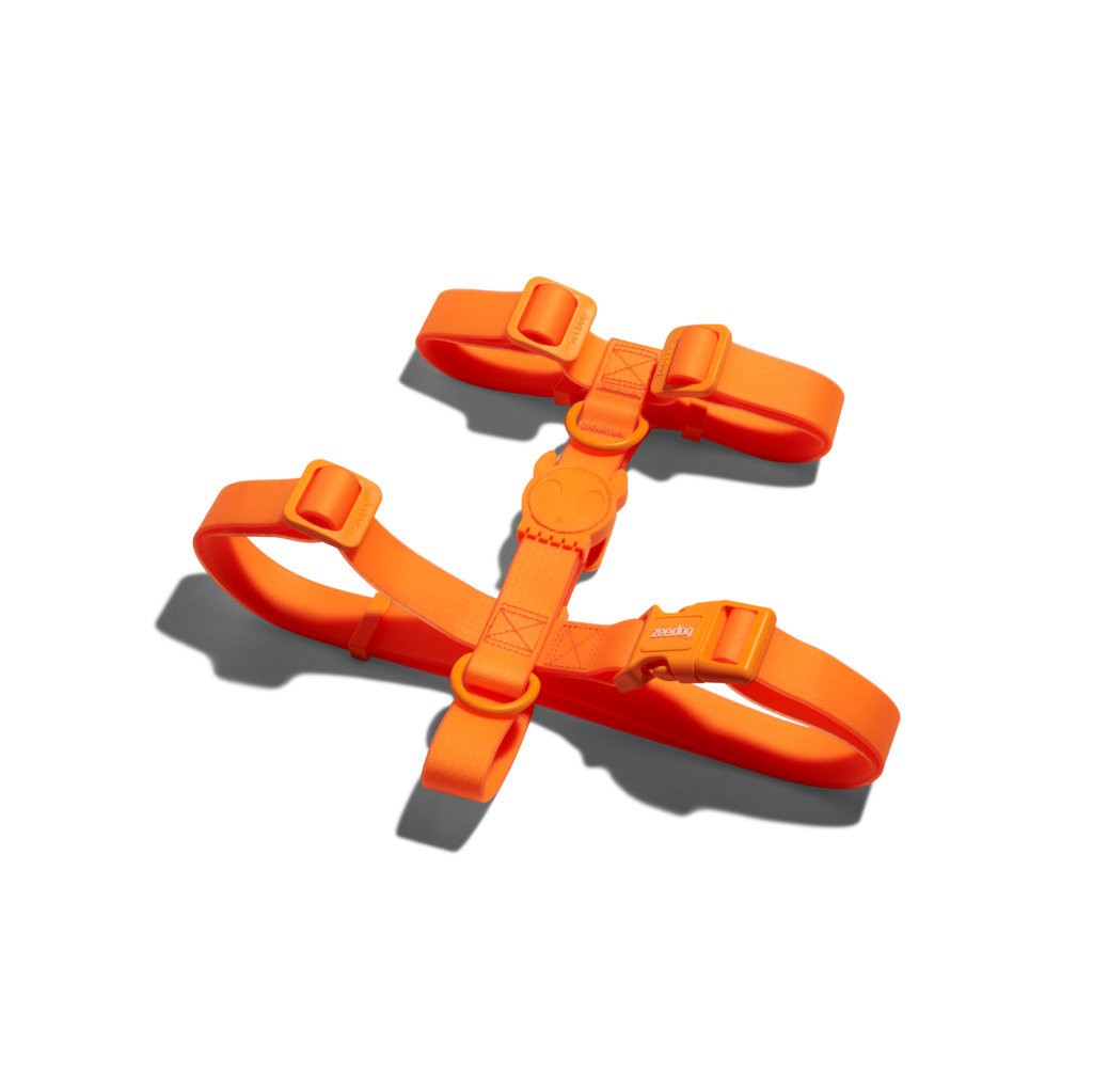 Pettorina ad H Neopro Tangerine