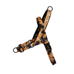 Pettorina Norvegese Softer-Walk Farm Rio Bossa Banana
