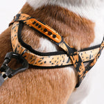 Pettorina Norvegese Softer-Walk Farm Rio Bossa Banana