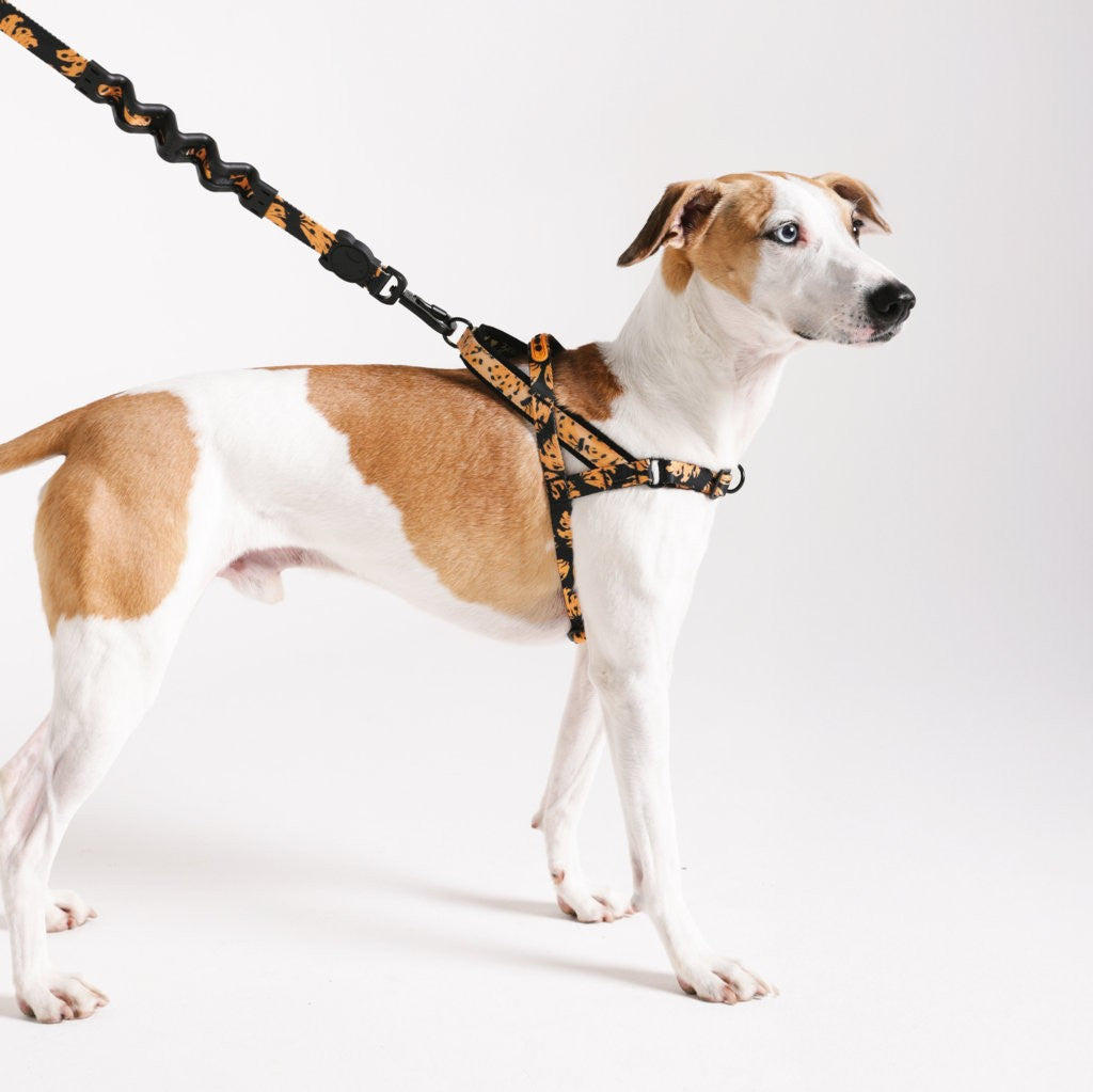 Pettorina Norvegese Softer-Walk Farm Rio Bossa Banana