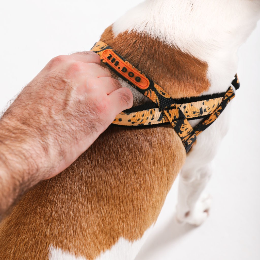 Pettorina Norvegese Softer-Walk Farm Rio Bossa Banana