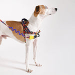 Pettorina Norvegese Softer-Walk Farm Rio Samba