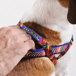 Pettorina Norvegese Softer-Walk Farm Rio Samba