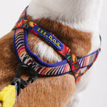 Pettorina Norvegese Softer-Walk Farm Rio Samba
