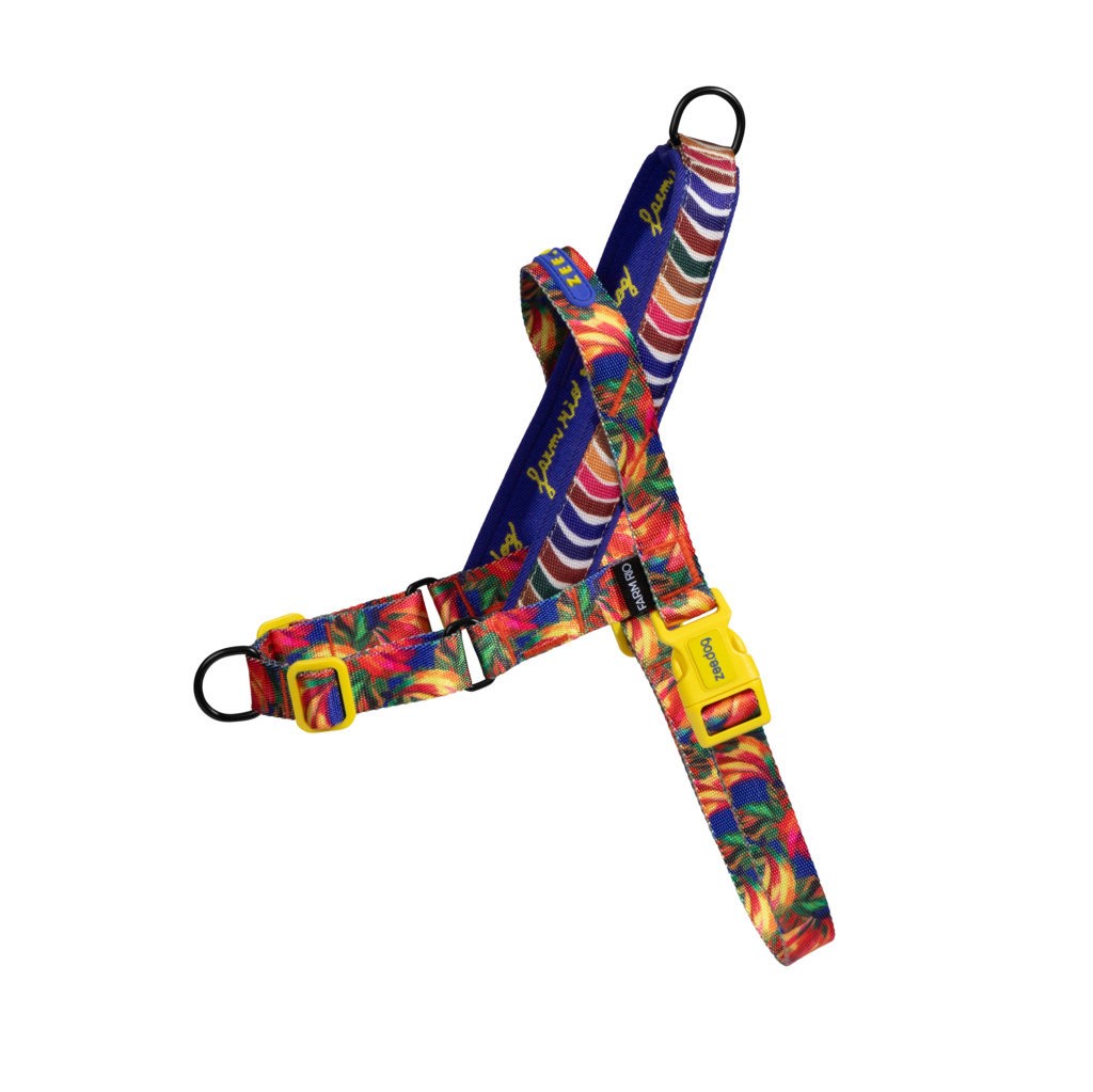 Pettorina Norvegese Softer-Walk Farm Rio Samba