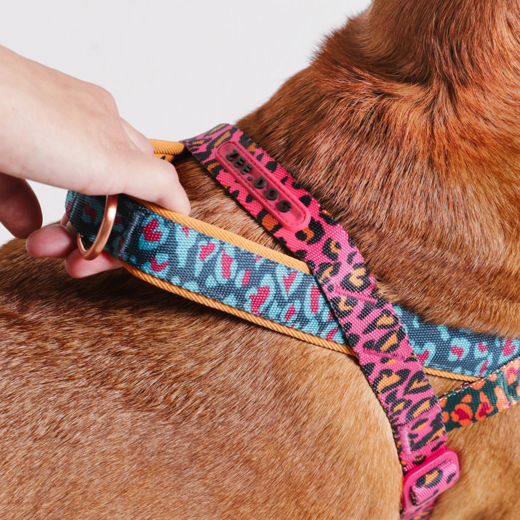 Pettorina Norvegese Softer-Walk Farm Rio Selva