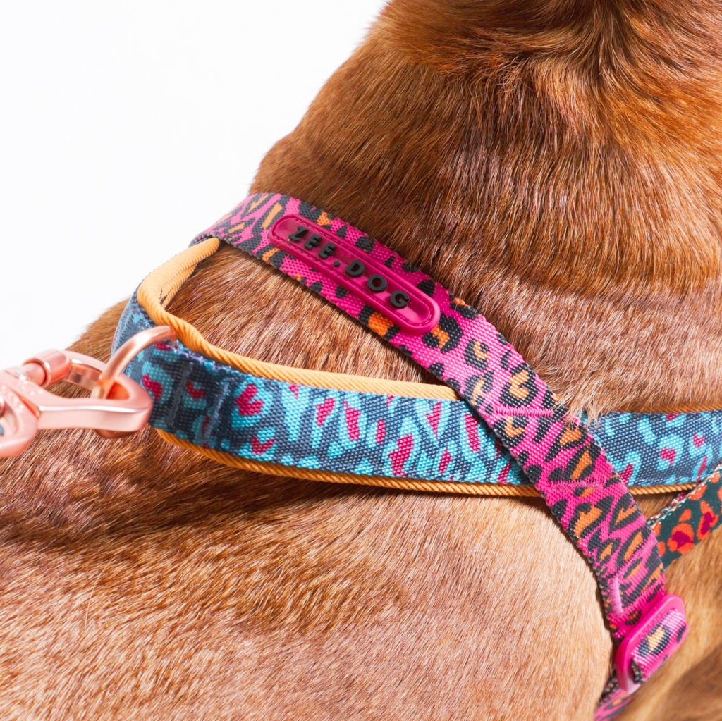 Pettorina Norvegese Softer-Walk Farm Rio Selva