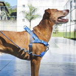 Pettorina Norvegese Softer-walk H3D Fly