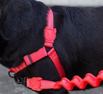 Pettorina Soft Walk Neon Coral