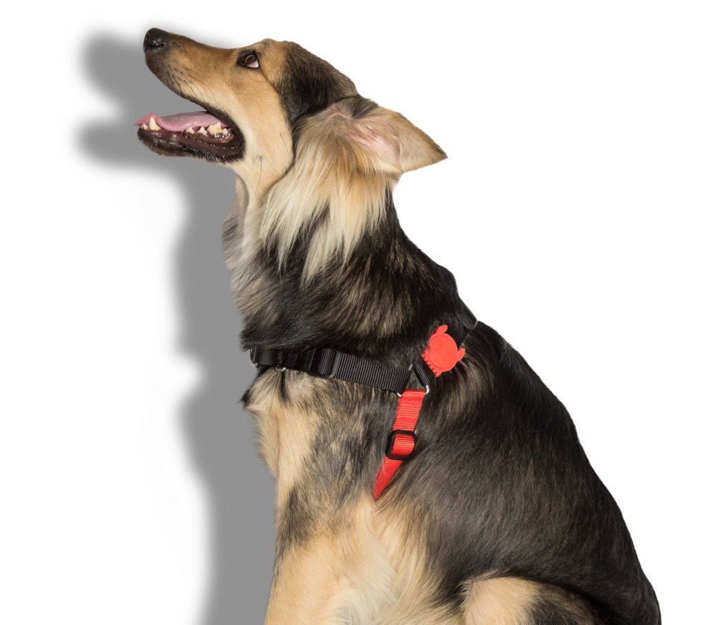 Pettorina Soft walk Fatboy