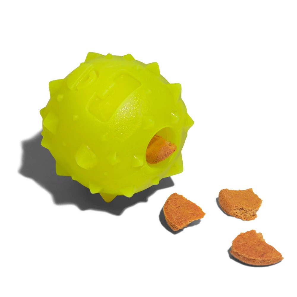 ROB THE MICROBE