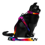 Set Pettorina e Guinzaglio Gatto Prisma