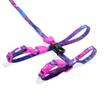 Set Pettorina e Guinzaglio Glitch 502
