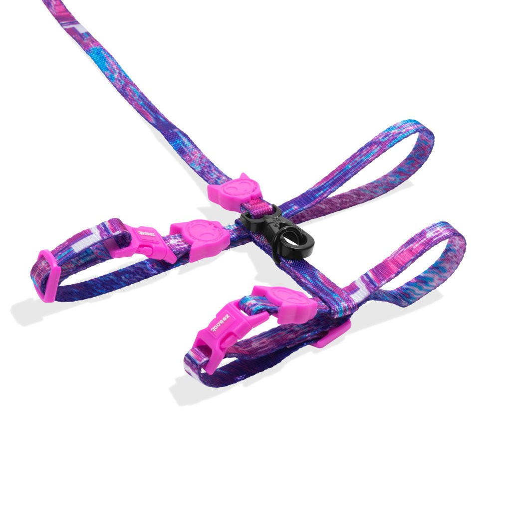 Set Pettorina e Guinzaglio Glitch 502