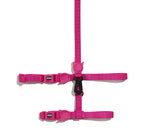 Set Pettorina e Guinzaglio Gatto Pink Led