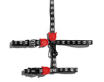 Set Pettorina e Guinzaglio Gatto Skull 2.0 -