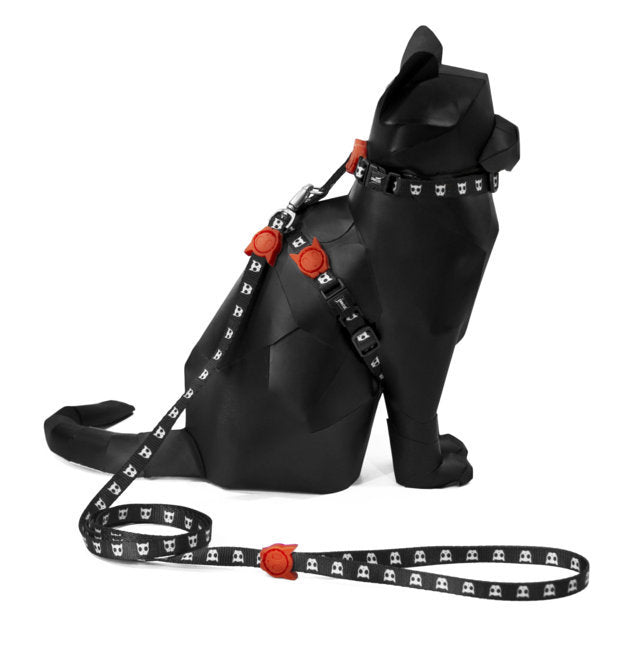 Set Pettorina e Guinzaglio Gatto Skull 2.0