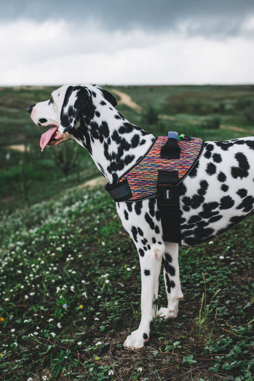 Pettorina con Maniglia - Flyharness Vortex
