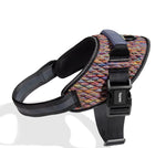 Pettorina con Maniglia - Flyharness Vortex