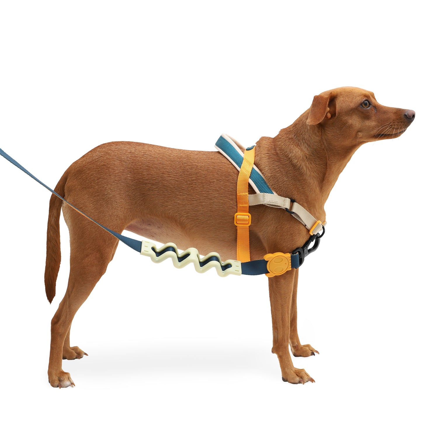 Pettorina Norvegese Softer-Walk Voyage