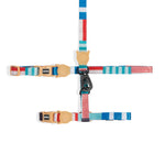 Set Pettorina e Guinzaglio Gatto Yacht -