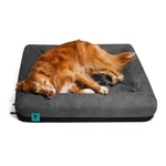 Cuccia Zee.Bed Skull