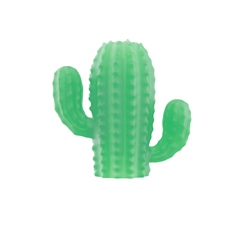 ZEE.PINZ CACTUS